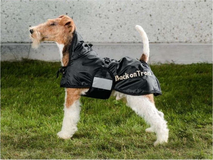 Back On Track - Vinterdækken Til Hund - 43 Cm