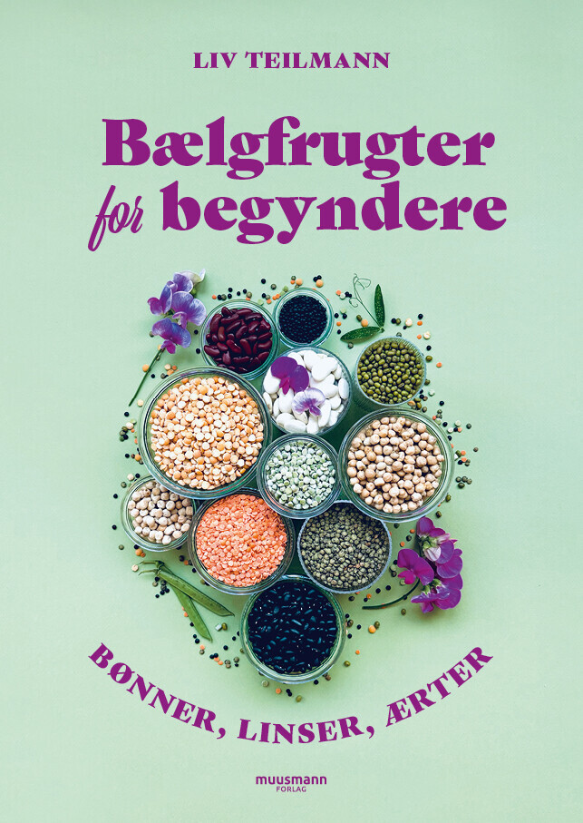 Bælgfrugter For Begyndere