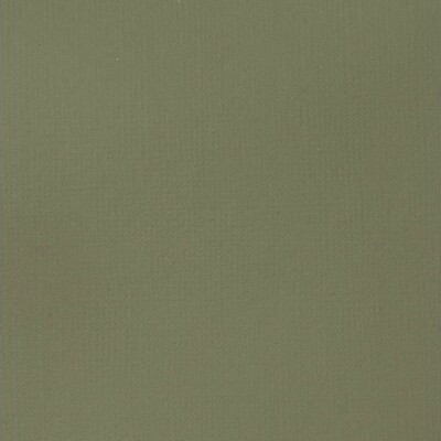 Liquitex - Basics Acrylic - Akrylmaling - Green Grey 118 Ml