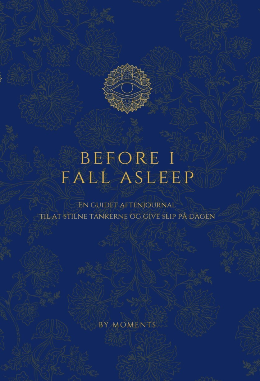 Before I Fall Asleep