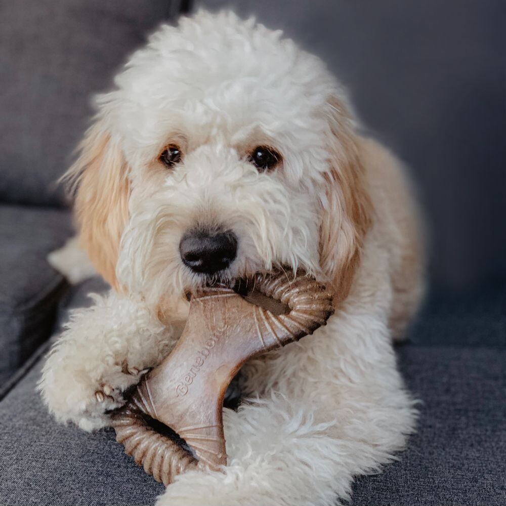 Benebone - Tyggelegetøj Til Hund - Bacon - Medium - 19 Cm