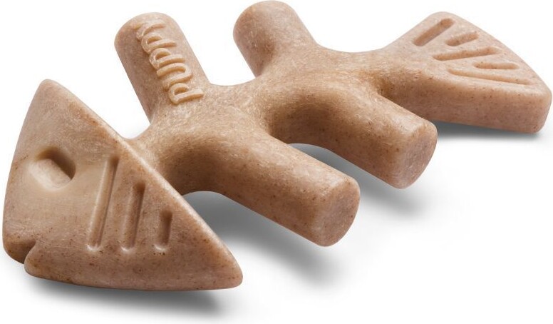Benebone - Tyggelegetøj Til Hvalp - Fishbone - Laks - 12 Cm - 2 Stk