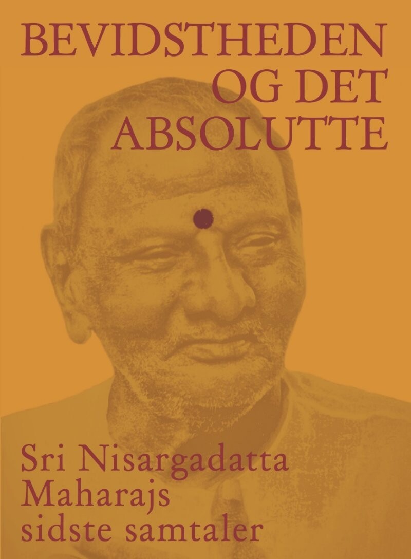 Bevidstheden Og Det Absolutte