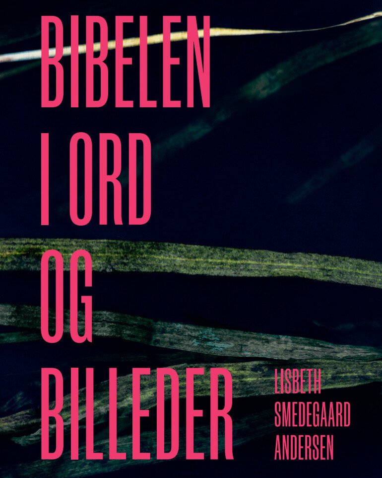 Bibelen I Ord Og Billeder Af Lisbeth Smedegaard Andersen - Indbundet ...