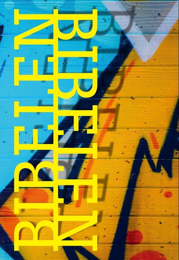 Bibelen På Hverdagsdansk Indbunden Teen