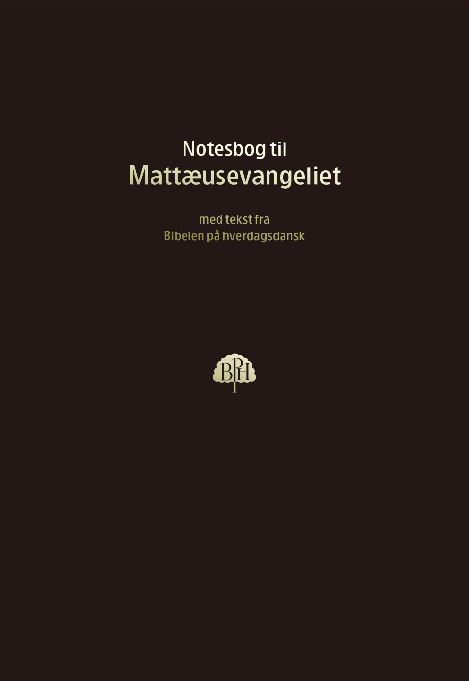 Bibelnotesbog 1 Matthæusevangeliet