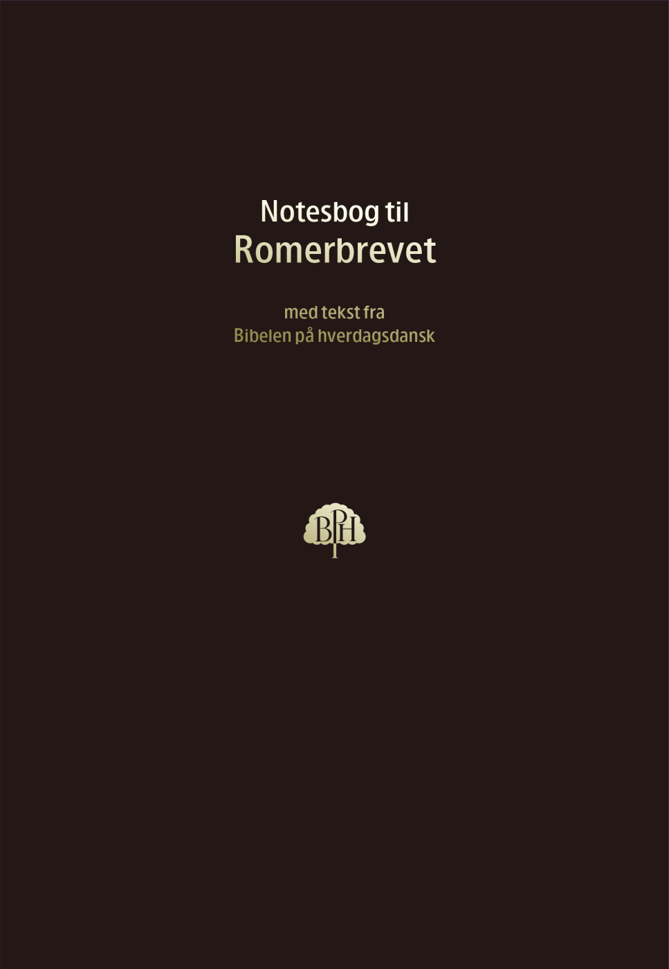 Bibelnotesbog 6 Romerbrevet