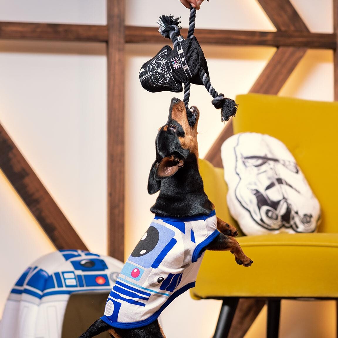 Bidelegetøj Mreb Hund - Darth Vader