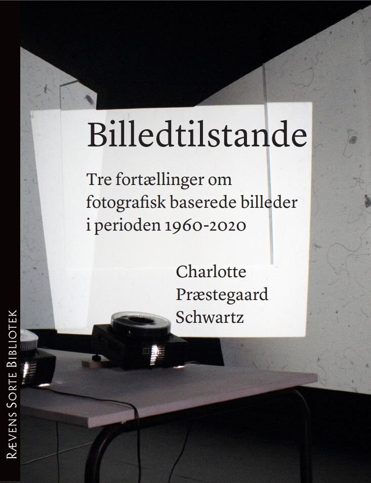 Billedtilstande