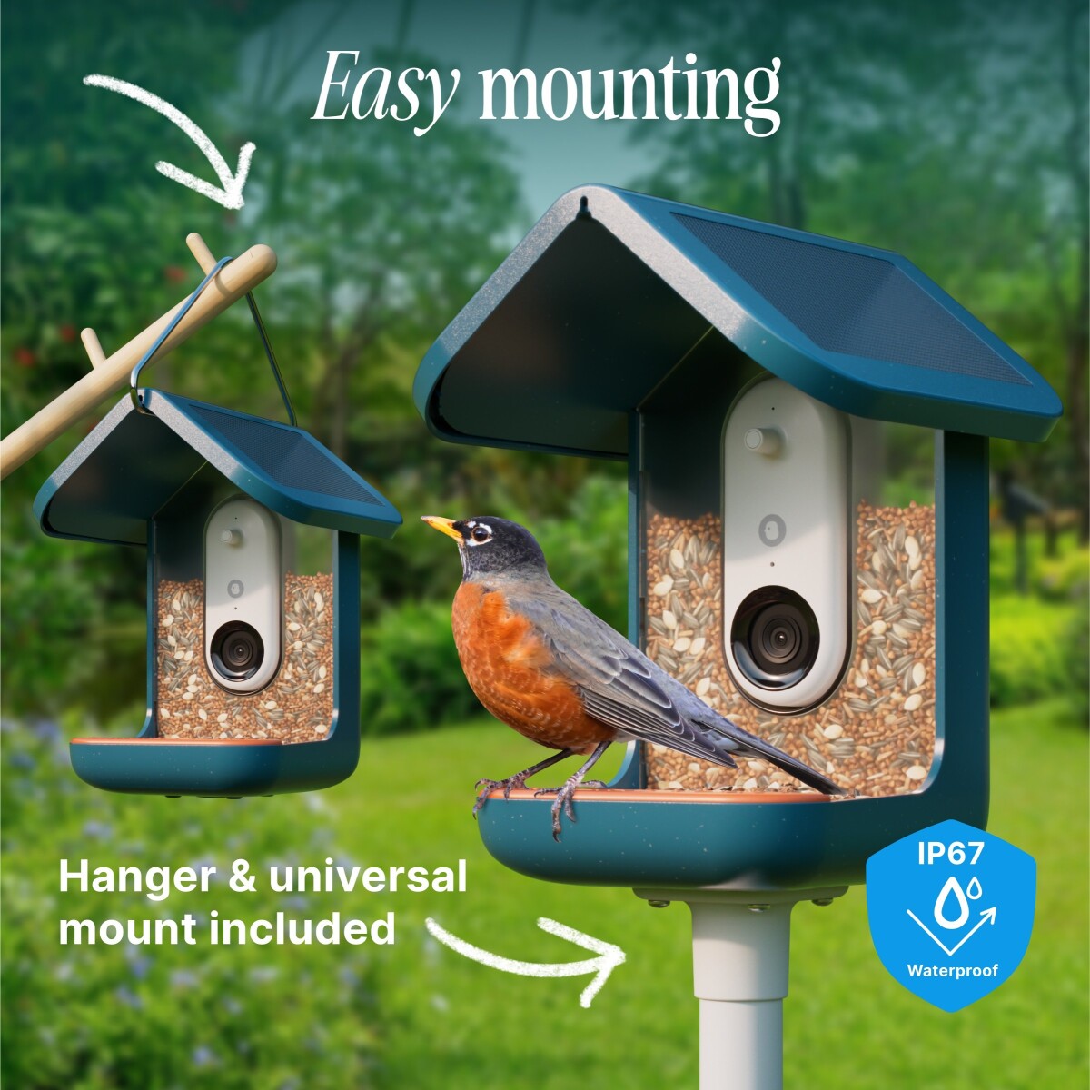 Birdbuddy - Smart Bird Feeder 20 Blå Med Solpaneler - Ai Artgenkendelser