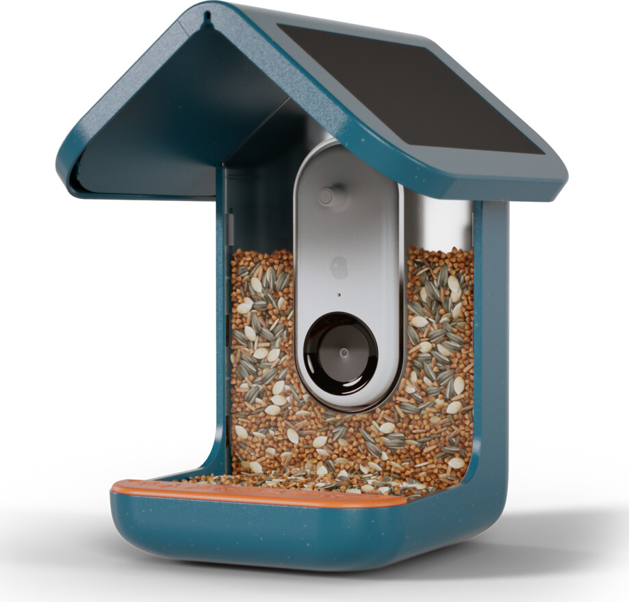 Birdbuddy - Smart Bird Feeder 20 Blå Med Solpaneler - Ai Artgenkendelser