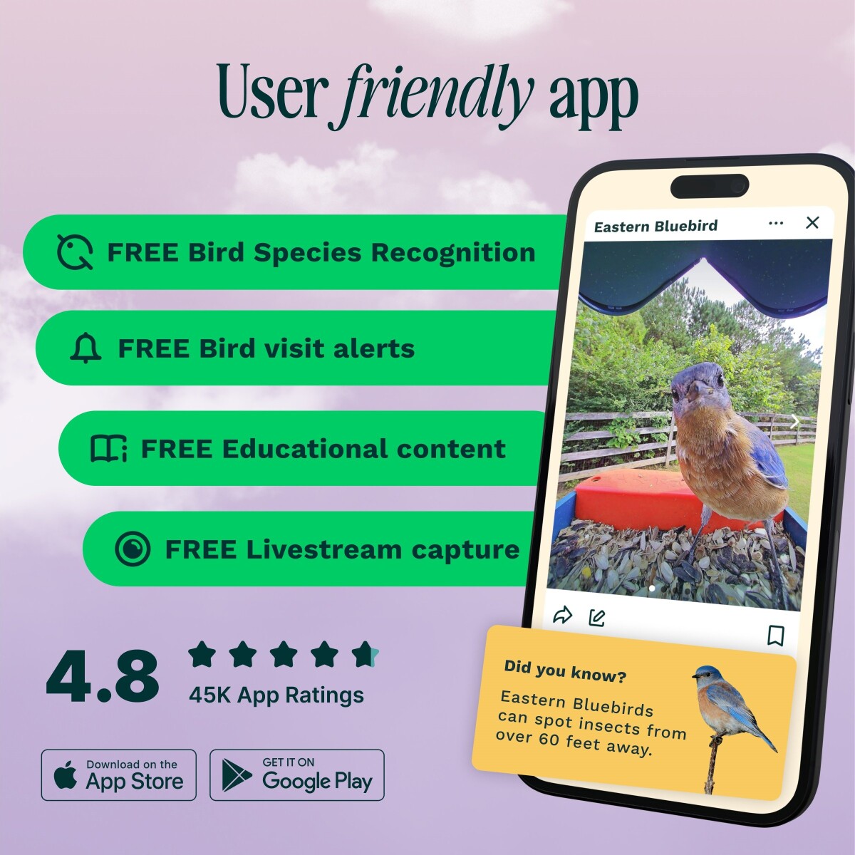 Birdbuddy - Smart Bird Feeder 20 Blå Med Solpaneler - Ai Artgenkendelser