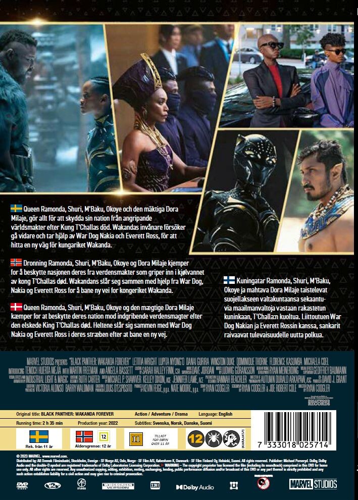 Black Panther 2 - Wakanda Forever