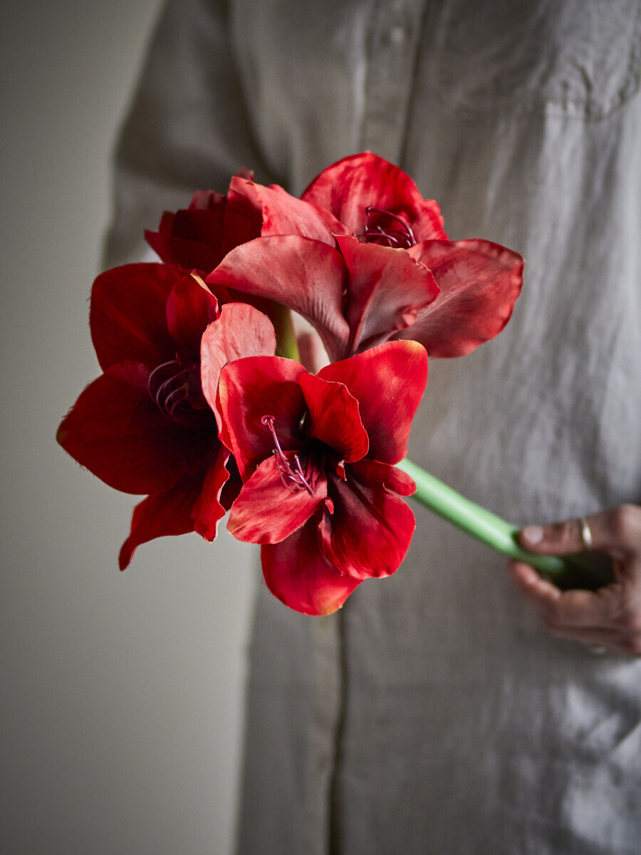 Bloomingville - Amaryllis Kunstige Blomster - Rød