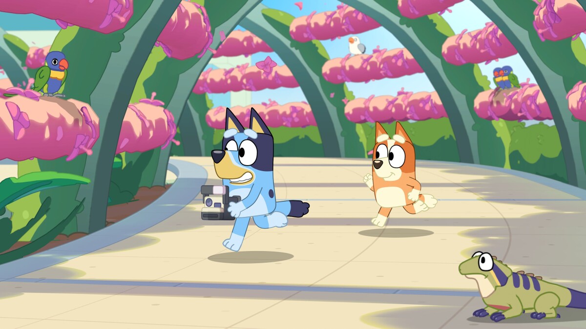 Bluey S Happy Snaps Deluxe Edition