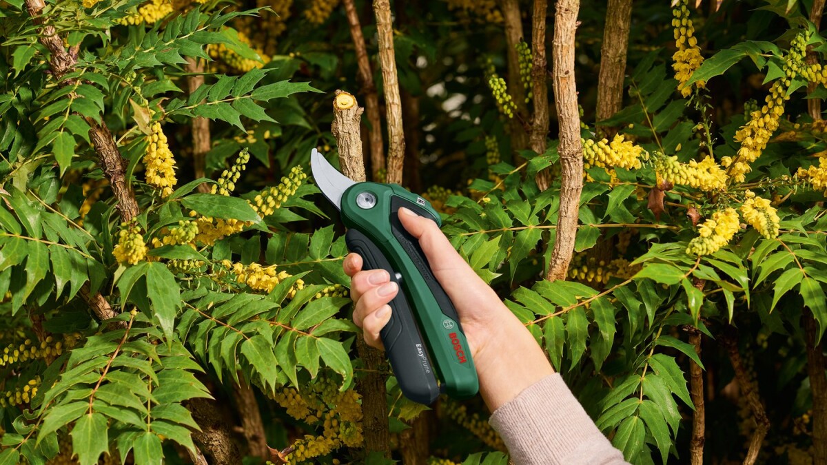 Bosch - Elektrisk Havesaks - Beskæringssaks Easy Prune 3 6V