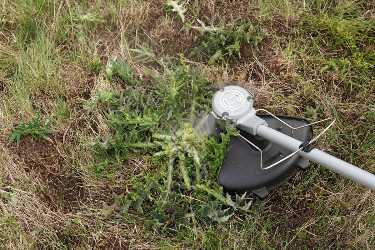 Bosch - Batteridrevet Busktrimmer - Adv 23Cm 36V Batteri Lader Medfølger