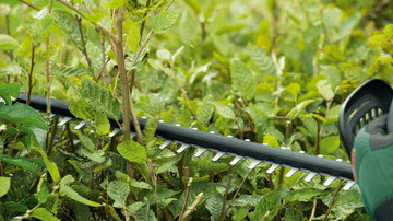 Bosch - Universal Hedgecut 18V 50Cm Klinge Batteri Inkluderet