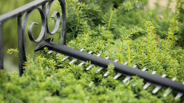 Bosch - Universal Hedgecut 18V 50Cm Klinge Batteri Inkluderet