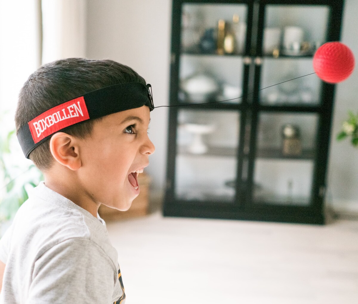 Boxbollen - Complete Set With App License - Red