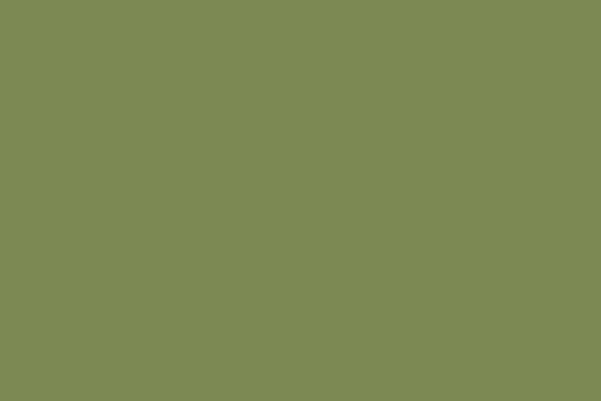 Vallejo - Model Color - Bright Green Mat - 18 Ml - 70758