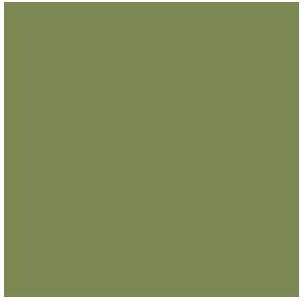 Vallejo - Model Color - Bright Green Mat - 18 Ml - 70758