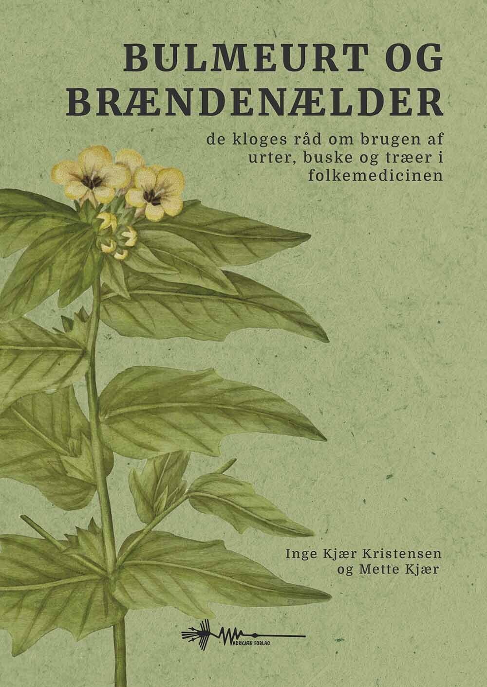 Bulmeurt Og Brændenælder