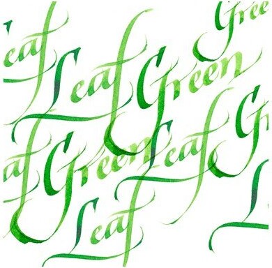 Winsor Newton - Calligraphy Ink - Blæk - Leaf Green 30 Ml