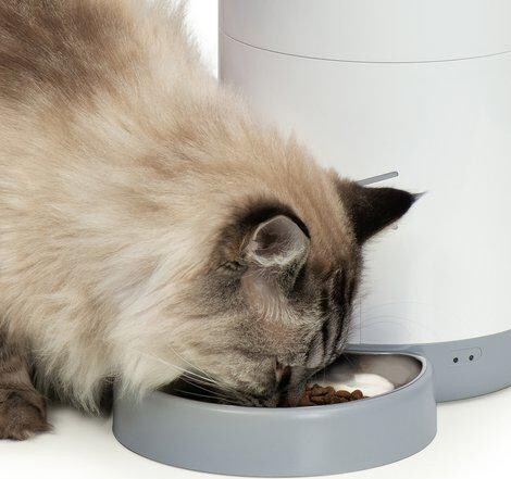 Catit - Pixi Smart Feeder Foderautomat Med App
