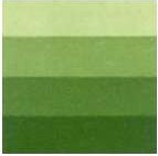 Charbo Etchink Ink 200Ml Medium Green 561 - 301598