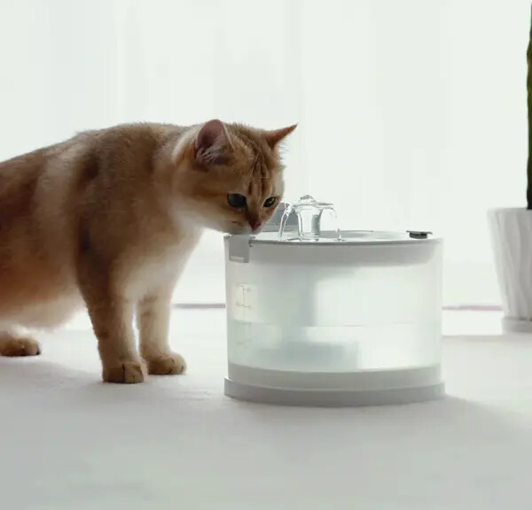 Cheerble - Elfin E1 - 2-Liter - Trådløs Drikke Fontæne Med Sensor