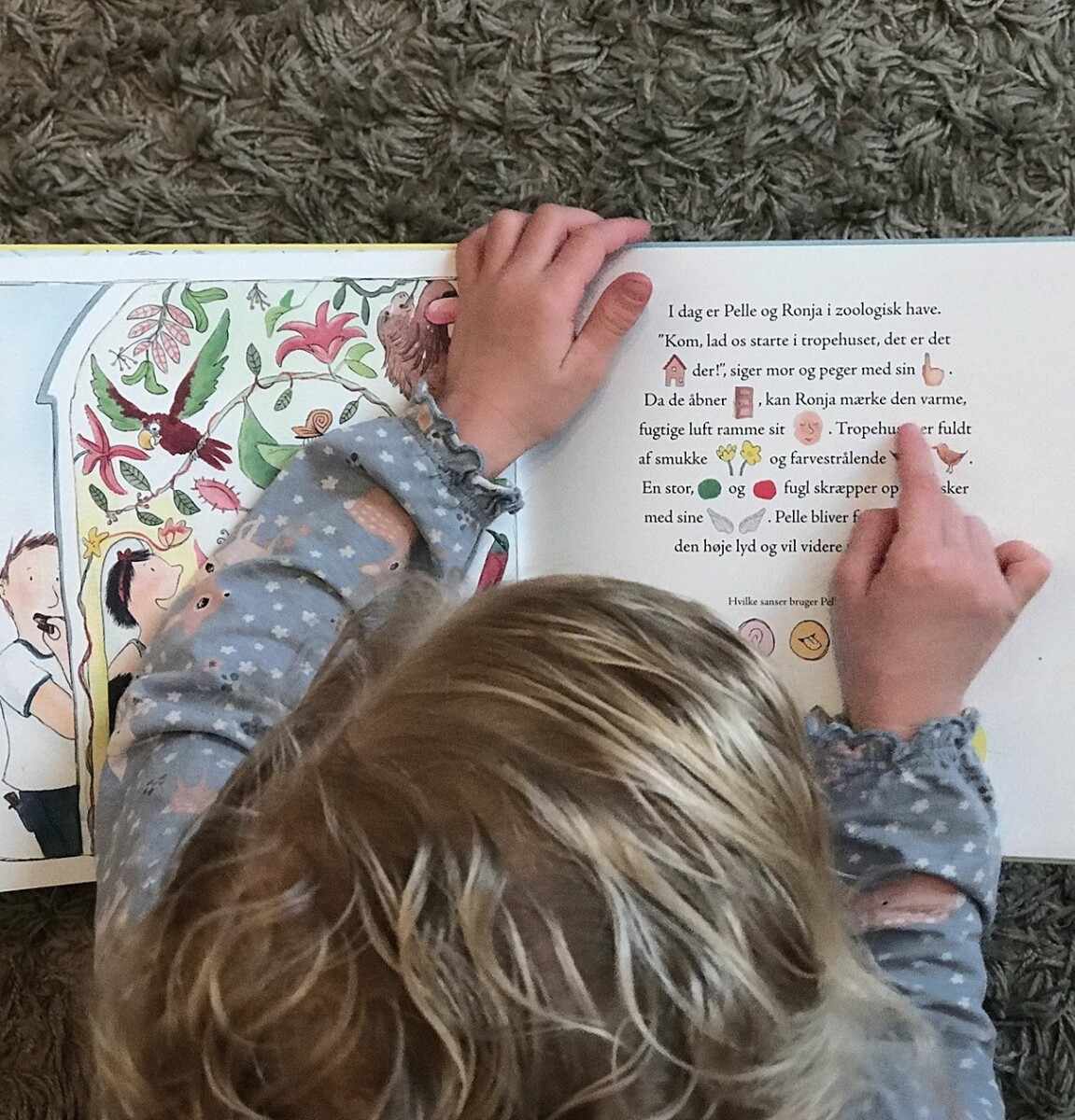 Sammen Om Sanserne