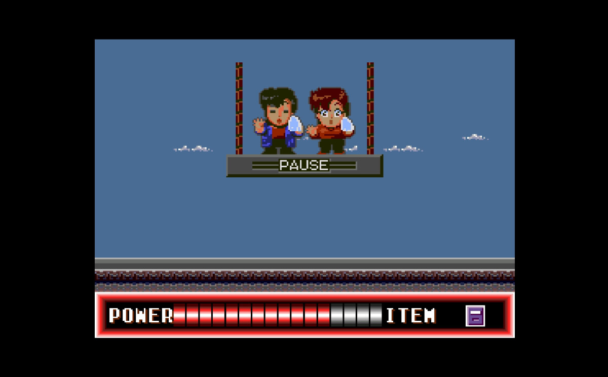 City Hunter