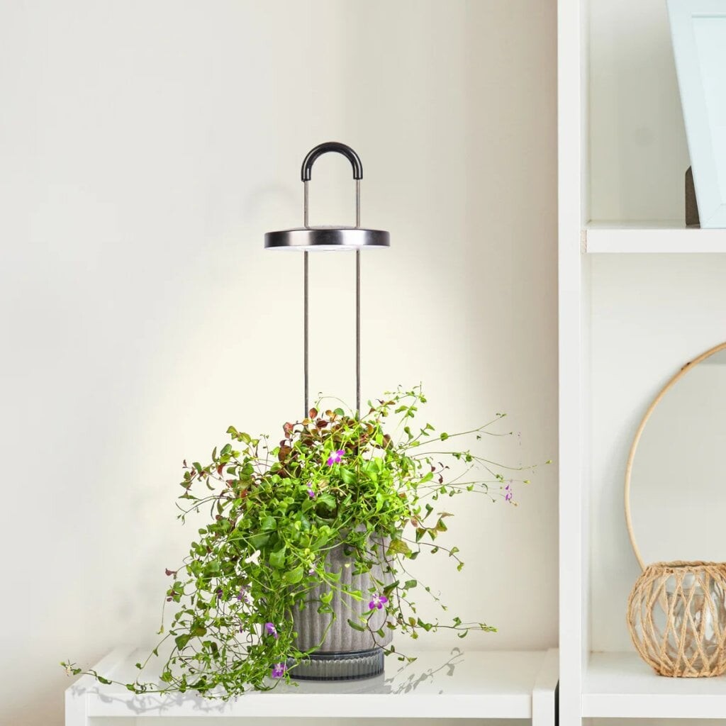 Click And Grow - Hydrovase - Grå