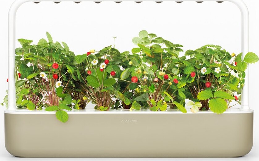 Click And Grow - Smart Garden 9 Starter Kit Color White Sg9S1Uni