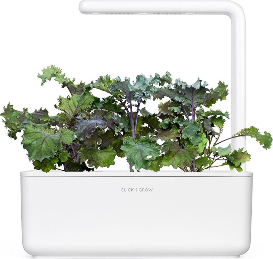 Click And Grow - Smart Garden Refill 3-Pack - Red Kale Sgr47X3