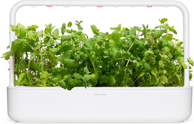 Click And Grow - Smart Garden Refill 3-Pak - Æblemynte