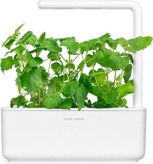 Click And Grow - Smart Garden Refill 3-Pak - Catnip