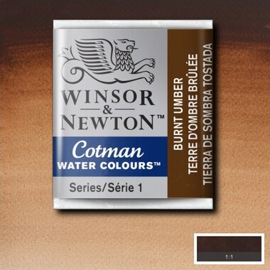 Winsor Newton - Cotman Water Colours - 12 Pan Burnt Umber 076