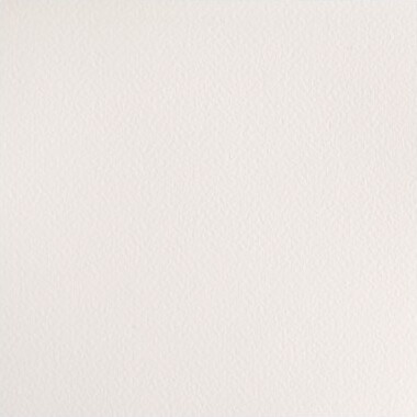 Winsor Newton - Cotman Watercolour - 12 Pan - Kinesisk Hvid