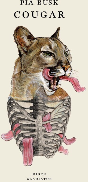 Cougar