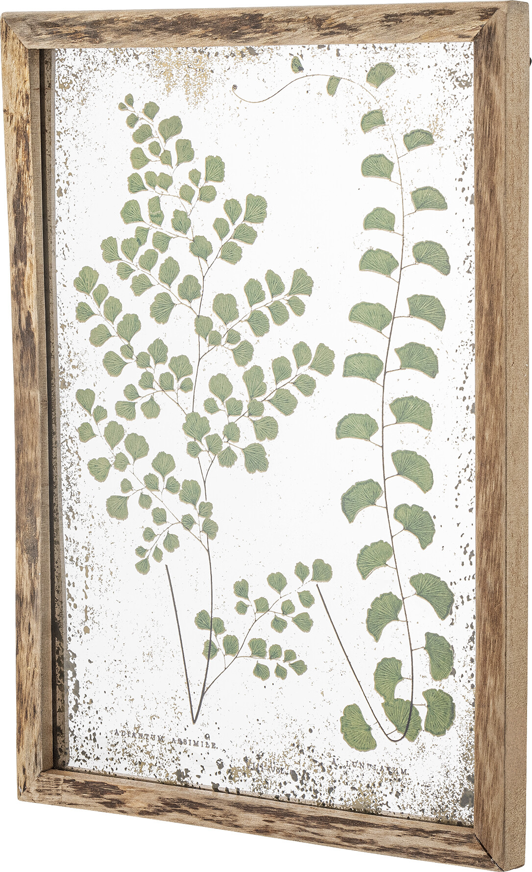 Creative Collection - Tipper Illustration Med Ramme - Natur - Fyrretræ