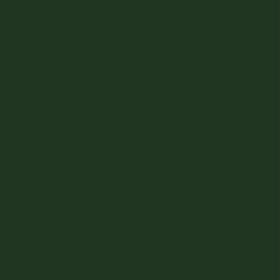 Vallejo - Game Color - Dark Green Mat - 18 Ml - 72028