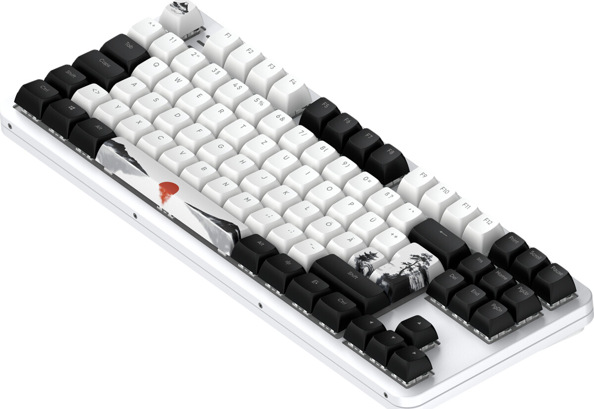 Køb Dark Project - Alu87 Fuji V2 Alu- Mechanical Gaming Keyboard - Iso ...
