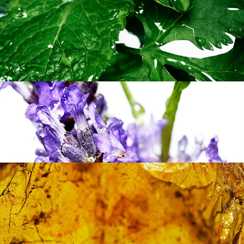 Davidoff - Cool Water Man All Over Body Spray - 150 Ml