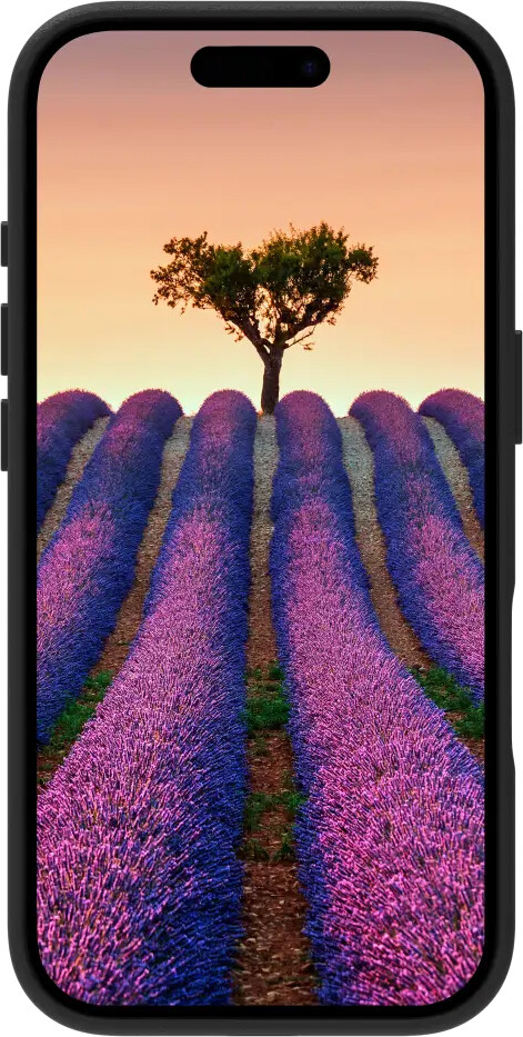 Dbramante1928 - Roskilde Magsafe - Iphone 17 - Black