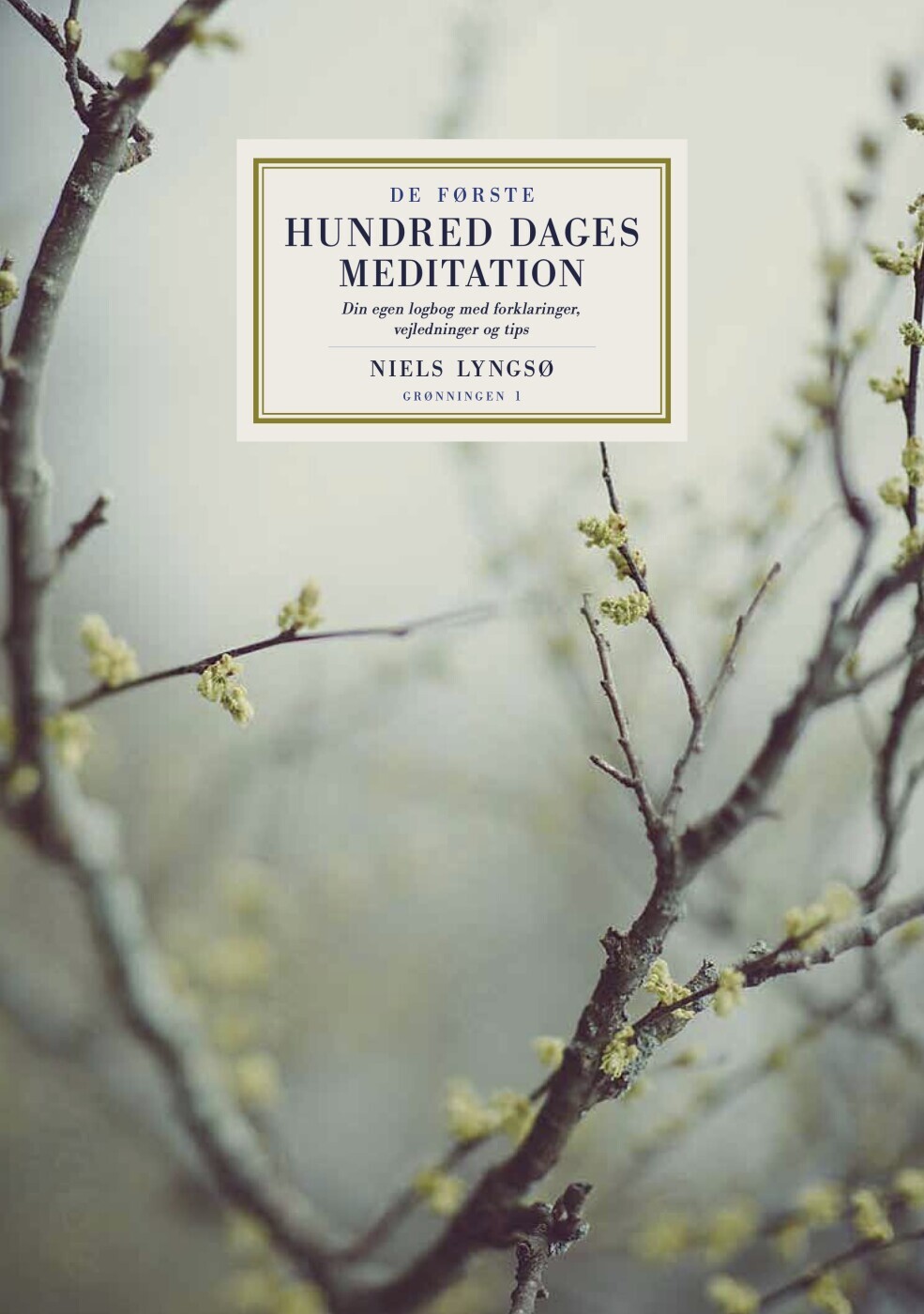 De Første Hundred Dages Meditation