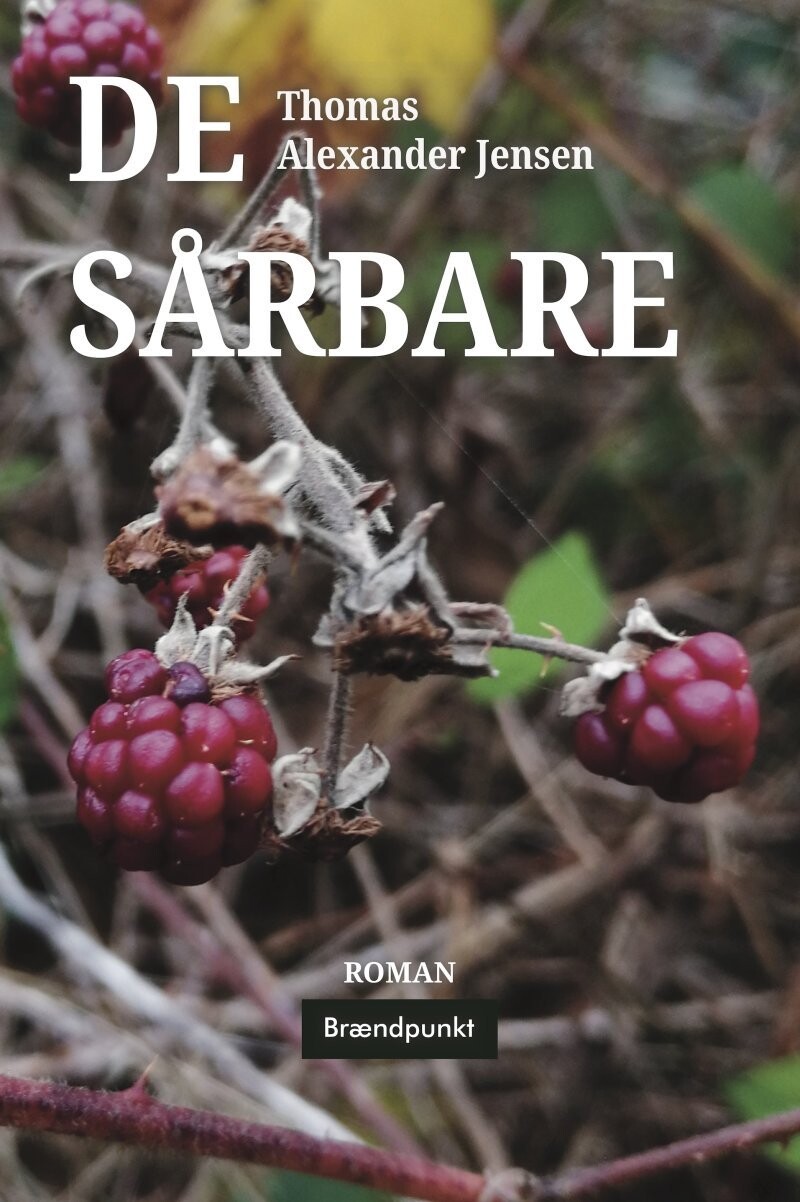 De Sårbare