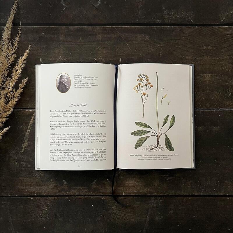 De Skabte Flora Danica