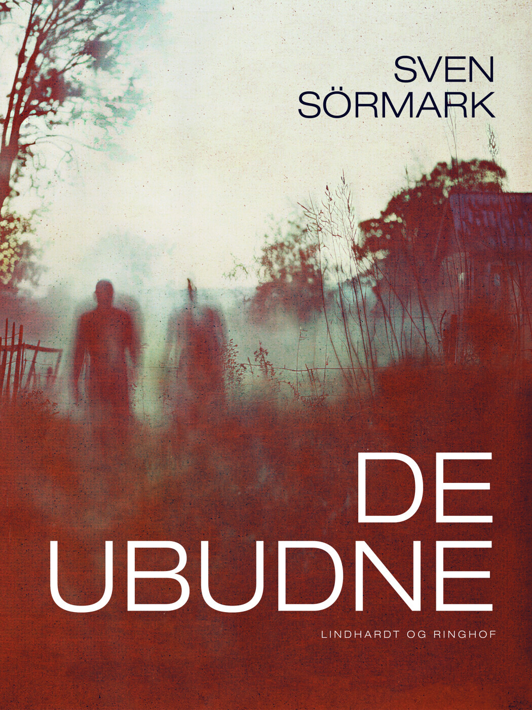 De Ubudne